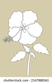 Outline hibiscus. Line art hand drawn flower. Vector floral illustration