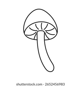 Outline Honey mushroom, armillaria mushroom. autumn mushroom. 