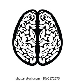 The outline of a human brain where the left and right lobes are seen from a top down view.