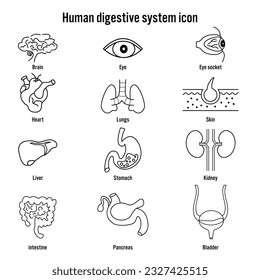 Outline Human digestive system icon. flat design health concept, Vector, illustration.
