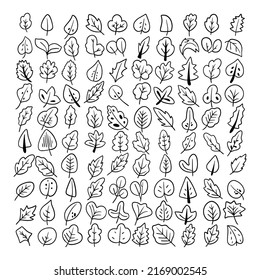 Colección vectorial de hoja de iconos de esquema. Conjunto de vectores aislados de floral de árbol botánico