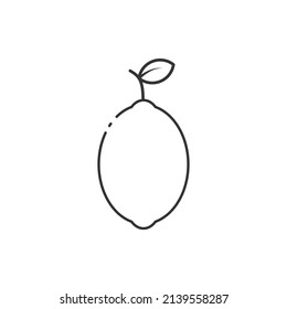 Icono de contorno de cal. Icono de anime. Fresco, fruta y entero. Icono de caricatura de frutas.