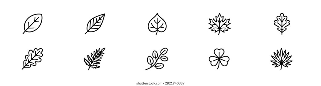 Outline icon pack for different leaf types. simple vector line art of various leaf shapes and patterns on transparent background.