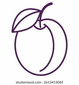 outline icon of plum with white background