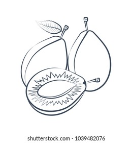 Outline icon of a ripe plum, whole and half with a leaf on a white background. Design for sticker, label, banner. Vector illustration.