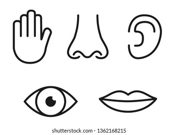 Outline icon set of five human senses: vision (eye), smell (nose), hearing (ear), touch (hand), taste (mouth with tongue).