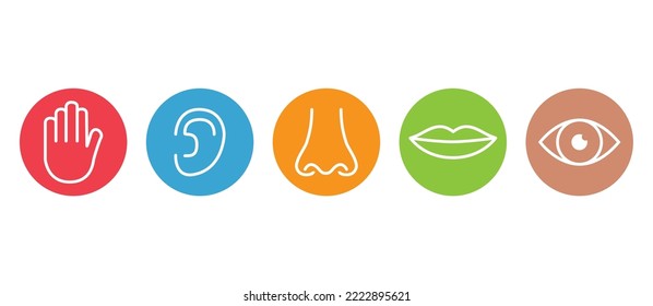 Outline icon set of five human senses: vision eye smell nose hearing ear touch hand taste mouth with tongue .