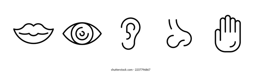 Outline icon set of five human senses: vision (eye), smell (nose), hearing (ear), touch (hand), taste (mouth). Thin line icon set