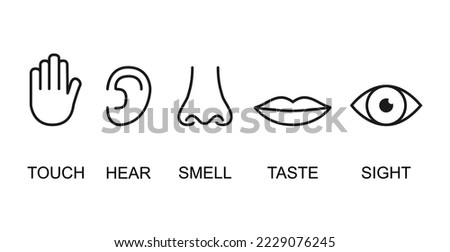 Outline icon set of five human senses: vision eye smell nose hearing ear touch hand taste mouth with tongue .