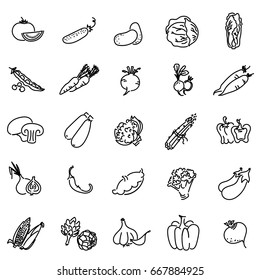 Outline icon set Vegetables and herbs with elements for mobile concepts and web apps. Line and flat style icon. Vector sign.