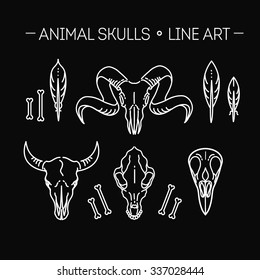 outline icon skull animals