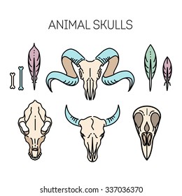 outline icon skull animals