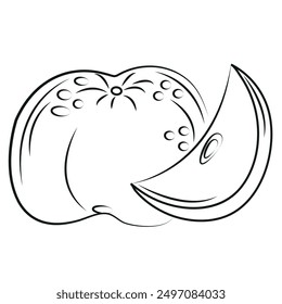 Umrisssymbol des ganzen Apfels und Apfelscheibe im abstrakten Stil, Vektorsymbol