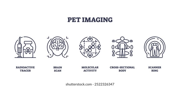 Outline icons set depicting PET imaging concepts, radioactive tracer, brain scan, molecular activity, cross-sectional body, and scanner ring. Outline icons set.