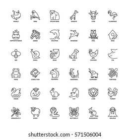 Outline icons set. Flat symbols about animals