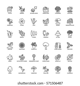 Outline icons set. Flat symbols about flowers, plants and trees.