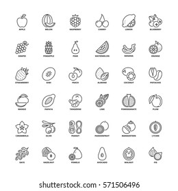 Outline Icons Set. Flat Symbols About Fruit