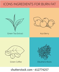 Outline Icons set of ingredients for burn fat. Icons for print, web and digital projects. Ideally, use health products for burn fat.