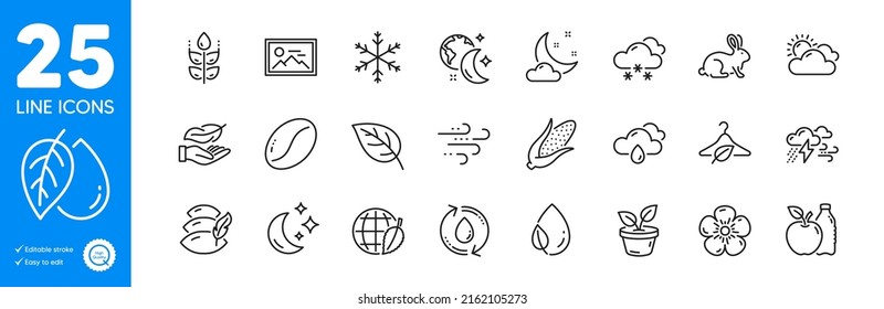 Outline icons set. Night weather, Sleep and Mineral oil icons. Apple, Windy weather, Slow fashion web elements. Coffee beans, Environment day, Refill water signs. Photo, Corn, Leaf dew. Vector