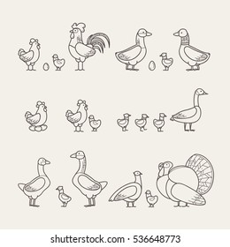 Outline Icons Set - Poultry