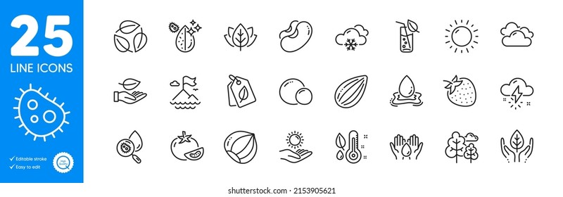 Outline icons set. Water glass, Bio tags and Water splash icons. Tomato, Leaf, Leaves web elements. Bacteria, Fair trade, Almond nut signs. Organic tested, Hazelnut, Strawberry. Vector