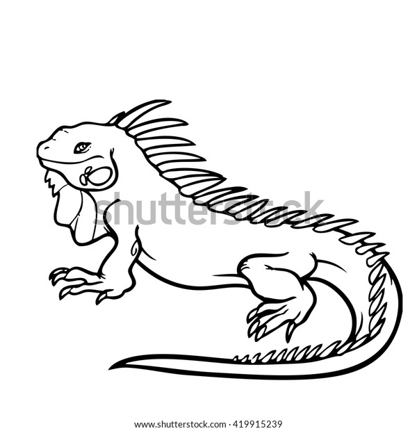 Outline Iguana Stock Vector (Royalty Free) 419915239