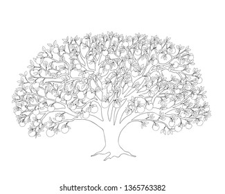 Outline illustration apple tree with leaves and apples for adult or kid coloring book, tutorials. Home art print, decorating wall, logo, Earth Day flyer design. Isolated on white background. eps 10
