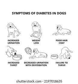 Outline illustration of beagle dog and symptoms of diabetes on white background