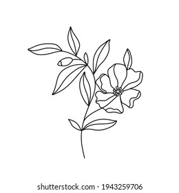 Outline illustration of botanical branch with blooming flower and leaves. Vector editable stroke.
