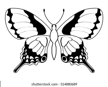 outline illustration of butterfly, insect