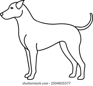 An outline illustration of a dog, showing a simple and clean side profile, hand drawn with smooth silhouette lines on a white background.
