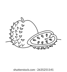 Ilustração esquematizada de fruto de sopo recém-cortado mostrando sementes e detalhes de pele espumosa