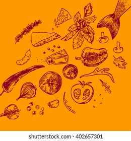 Outline illustration with hand drawn spices and Ingredients for pizza
