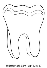 outline illustration of human tooth