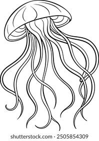 An outline illustration of a jellyfish, with its bell-shaped body and trailing tentacles, drawn with delicate.