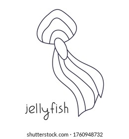 Outline illustration - jellyfish. Hand drawn vector graphic design on white background.