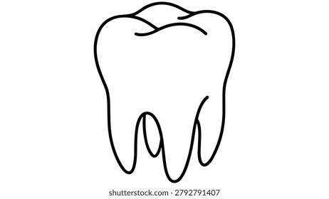 Outline illustration of a molar tooth