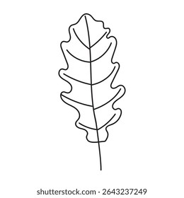 Outline illustration of oak leaf.Autumn.Vector.
