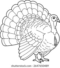 Outline illustration of a turkey bird with a prominent wide fanned tail ready for coloring projects