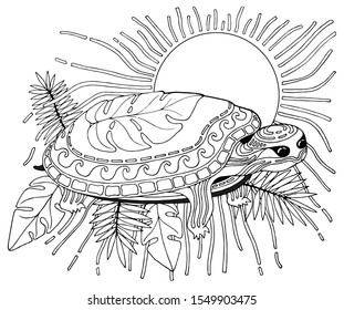 An outline illustration of a turtle with the decorative shell on the background of tropical leaves and the Sun. Anti-stress coloring page.