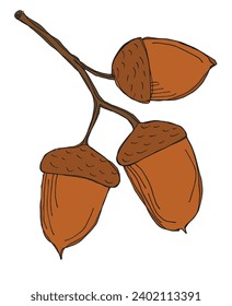 Outline illustration vector image of an acorn.
Hand drawn artwork of an oak nut.
Simple cute original logo.
Hand drawn vector illustration for posters, cards, t-shirts.