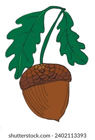 Outline illustration vector image of an acorn.
Hand drawn artwork of an oak nut.
Simple cute original logo.
Hand drawn vector illustration for posters, cards, t-shirts.