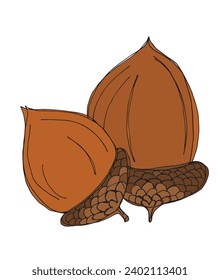 Outline illustration vector image of an acorn.
Hand drawn artwork of an oak nut.
Simple cute original logo.
Hand drawn vector illustration for posters, cards, t-shirts.
