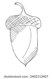 Outline illustration vector image of an acorn.
Hand drawn artwork of an oak nut.
Simple cute original logo.
Hand drawn vector illustration for posters, cards, t-shirts.
