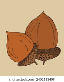 Outline illustration vector image of an acorn.
Hand drawn artwork of an oak nut.
Simple cute original logo.
Hand drawn vector illustration for posters, cards, t-shirts.