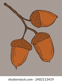 Outline illustration vector image of an acorn.
Hand drawn artwork of an oak nut.
Simple cute original logo.
Hand drawn vector illustration for posters, cards, t-shirts.