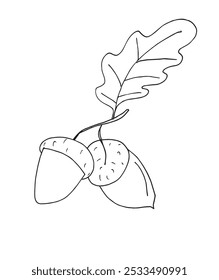 Outline illustration vector image of an acorn.
Hand drawn artwork of an acorn.
Simple cute original logo.
Hand drawn vector illustration for posters.