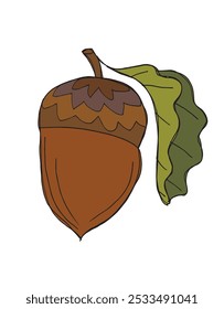 Outline illustration vector image of an acorn.
Hand drawn artwork of an acorn.
Simple cute original logo.
Hand drawn vector illustration for posters.