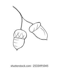 Outline illustration vector image of an acorn.
Hand drawn artwork of an acorn.
Simple cute original logo.
Hand drawn vector illustration for posters.