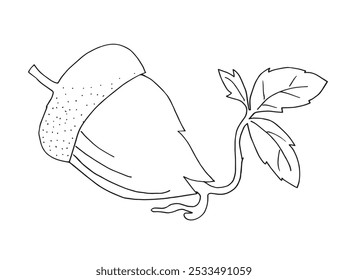 Outline illustration vector image of an acorn.
Hand drawn artwork of an acorn.
Simple cute original logo.
Hand drawn vector illustration for posters.